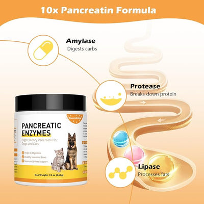 Pancreatic Enzymes for Dogs (12 oz) - 10x Pancreatin Enzyme Formula - Digestive Enzymes for Dogs EPI - Helps Restore Normal Weight, Relieve Pancreatic Problems and Digestive Stress