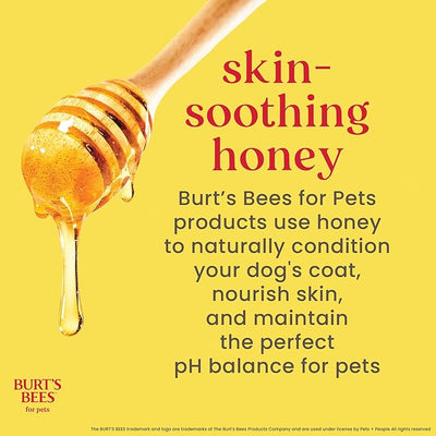 BURT'S BEES FOR PETS Ear Cleaner for Dogs with Pepeprmint and Witch Hazel, 99.7% Natural Origin Formulas, Dog Ear Cleaner, Ear Cleaning Solution for Dogs, 4 oz