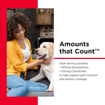 Nutri-Vet Hip & Joint Regular Strength Chewable Dog Supplements, Formulated with Glucosamine Chondroitin, Pet Supplies, Joint Supplement for Dogs, Pet Care, Puppy Essentials, 120 Count