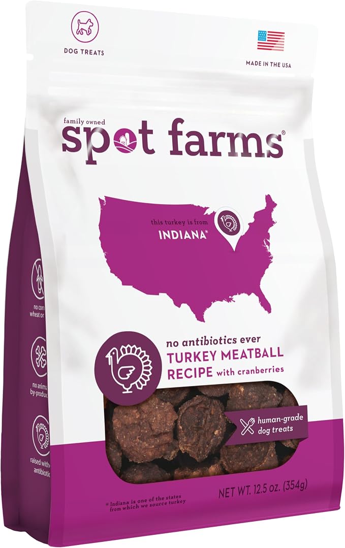 Turkey Meatball Recipe Healthy All Natural Dog Treats Human Grade Made in USA 12.5 oz