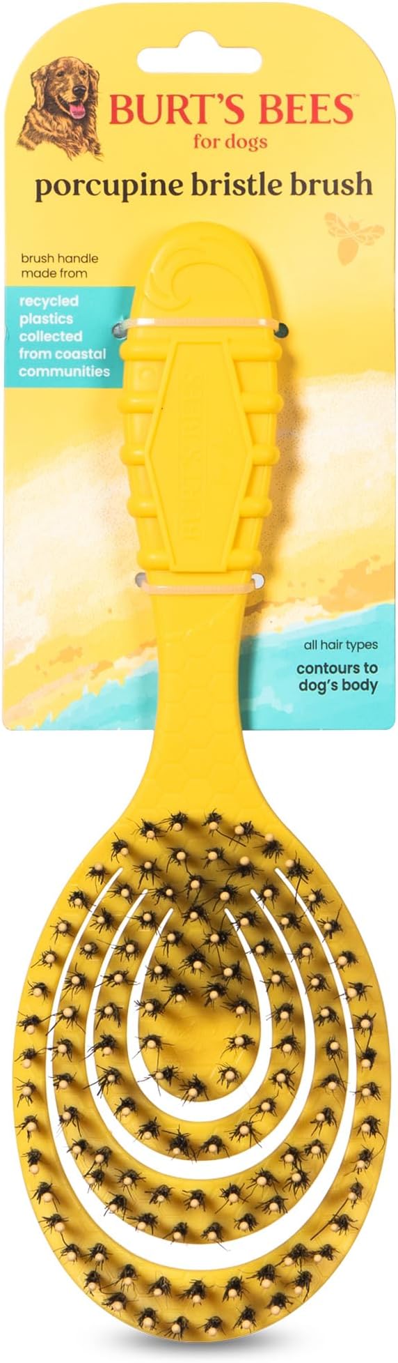 Burt’s Bees for Pets Porcupine Bristle Brush for Large Dogs with Handle Made from Recycled Plastics Collected from Coastal Communities - Flex-head Grooming Brush