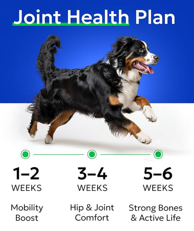 BARK&SPARK Glucosamine Chondroitin Dog Hip & Joint Supplement - Joint Pain Relief - Hip & Joint Chews - Joint Support Large Small Breed - Senior Doggie Vitamin Pill Joint Health (120 Treats - Bacon)