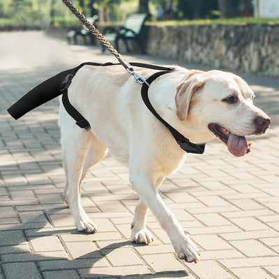 Ohcozzy Dog Tail Protector, Dog Harness with Tail Guard Ends Protector Sleeve, Dog Tail Bandage Cover for Comfortable Wound Injury Recovery,L