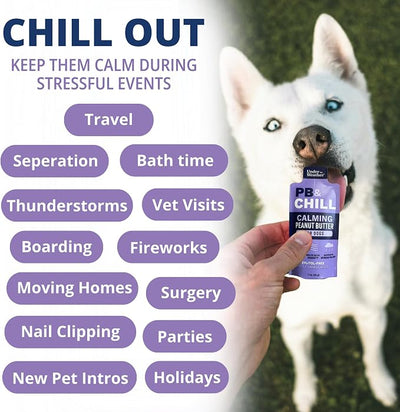 Under the Weather Pet PB & CHILL Dog Peanut Butter Dog Treats | Vet-Formulated 100% Natural and Tasty Calming Treats for Dogs | Promotes Calmness and Relieves Anxiety for Dogs | 1 Oz - Pack of 6