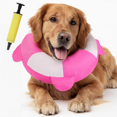 IECOii Inflatable Dog Recovery Collar, Comfortable Cone Alternative | Comfort Beyond the Cone | Pillow-Like Comfort | Full-View Freedom | Lick-Free Healing | Stay-Put Fit | Easy-Clean Design