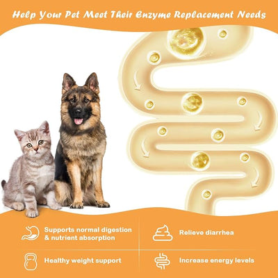 Pancreatic Enzymes for Dogs (12 oz) - 10x Pancreatin Enzyme Formula - Digestive Enzymes for Dogs EPI - Helps Restore Normal Weight, Relieve Pancreatic Problems and Digestive Stress