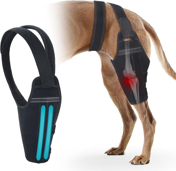 Dog Knee Brace for Torn ACL Hind Leg – Support Dog Leg Brace for Back Leg with 2 Stabilizers, Adjustable Hip Support to Reduces Pain Luxating Patella, Ligament Injuries, CCL (Left Leg, XL)