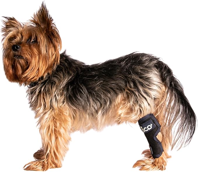 Dog Hock Brace for Ankle Support & Arthritis, Vet Approved Dog Back Leg Brace, Adjustable with Removable Splints, Orthopedic Support for Injuries, Sprains & Post-Surgery Recovery (X Small)