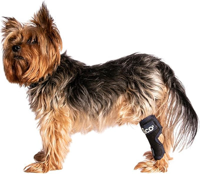 Dog Hock Brace for Ankle Support & Arthritis, Vet Approved Dog Back Leg Brace, Adjustable with Removable Splints, Orthopedic Support for Injuries, Sprains & Post-Surgery Recovery (Large)