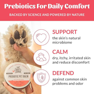 SKOUT'S HONOR Prebiotic Pet Balm - 100% Natural and Made w/Manuka Honey to Promote Healing of Your pet's paw Pads and Nose, Soothes Dry, Itchy Paws and Noses - Safe for Cats and Dogs, 2oz, 1-Pack