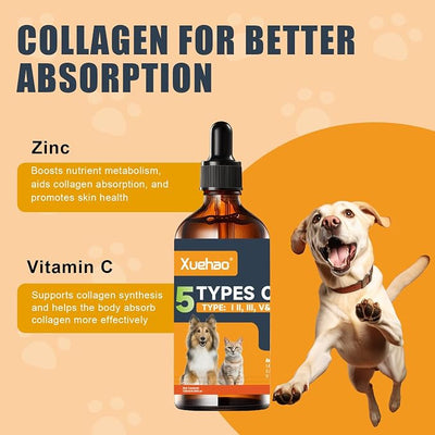Premium Collagen for Dogs & Cats– 5 Types of Grass-Fed Collagen，Support for Skin & Coat，with MSM, Biotin & Hyaluronic Acid | 120ml/4.06 floz(02)