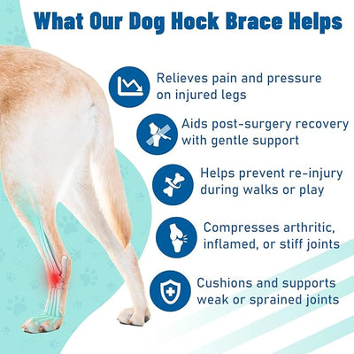 Dog Leg Braces for Back & Front Legs- Dog Hock & Ankle Joint Brace for Weak Back Legs with 2 Metal Strips, Reflective Trim for Sprain, Injury, Arthritis, Wound Recovery,Black,XL