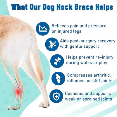 Dog Leg Braces for Back & Front Legs- Dog Hock & Ankle Joint Brace for Weak Back Legs with 2 Metal Strips, Reflective Trim for Sprain, Injury, Arthritis, Wound Recovery Black,S