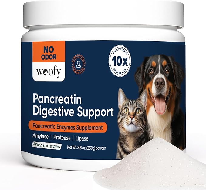 Pancreatin Digestive Support | Pancreatic Digestive Enzymes | 10x Pancreatin | No Odor | Pancreatin for Dogs and Cats | Pancreatic Enzyme | Great for Pets with EPI | 250 Grams