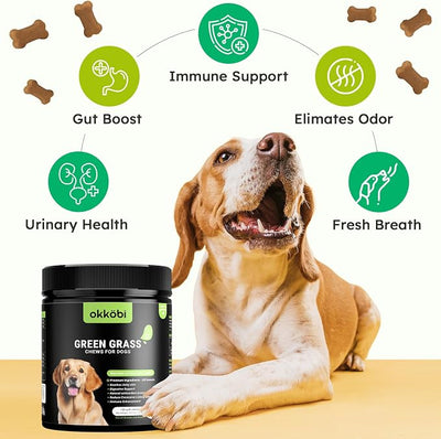 Dog Urine Neutralizer for Lawn - 150 Chews - Advanced Green Grass Dog Chews - Canine Pee Grass Saver - Green Lawn Treats with Natural Ingredients & Digestive Enzymes - Duck