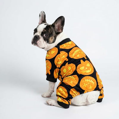Fitwarm Halloween Pumpkin Dog Pajamas, Funny Dog Winter Clothes for Small Dogs Girl Boy, Pet Jumpsuit, Cat Halloween Costumes with Feet, Lightweight Velvet, Black, Orange, Medium
