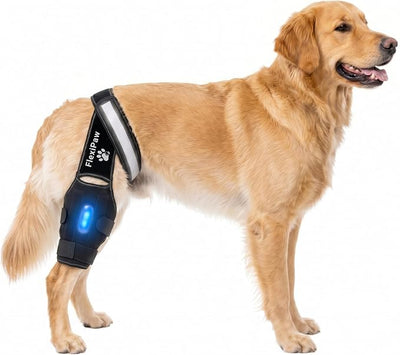 Dog Knee Brace for Torn ACL Hind Leg CCL, Luxating Patella & Hip Support with Cold Therapy, Stabilizer Rods, Anti-Slip Torso Strap & Reflective Trim Rear Leg Brace (Large)