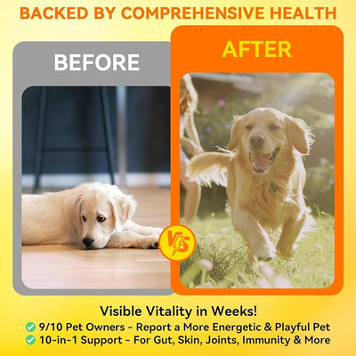 Multivitamin Powder for Dogs - All-in-One Support for Immune, Skin, Coat, Heart and Vision Health with Taurine, Biotin, Omega-3 & Natural Chicken Flavor,150g