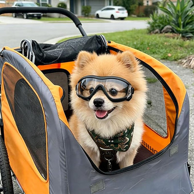 Enjoying Clear Dog Goggles for Small Dogs, UV Protection Pet Sunglasses for Small Dog Breeds, Windproof Dust-Proof, Little Dog Eye Protection for Outside Cycling Driving, Adjustable Straps, Clear
