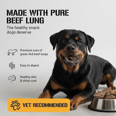 Dog Chits Beef Lung Fillets Dog and Puppy Treats – All Natural Chews for Dogs – Grain-Free, High-Protein, Low Fat Single Ingredient Dog Treat – Ideal for All Dogs – Large, 5 oz – Made in USA