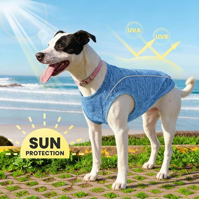 PETCARE Sun Protection Dog Shirts for Small Dogs Quick Dry Soft Stretchy Dog T-Shirts with Reflective Label Tank Top Sleeveless Vest Pet Clothes, Athletic Fabric, Navy, S (Chest 15" Length 11.8")
