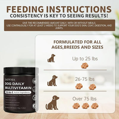 Daily Multivitamin Chews for Dogs, Itch & Skin Support with Salmon Oil, Folic Acid & Chondroitin, Supports Healthy Skin, Coat, Immunity & Digestion, 60 Count Beef Flavor (01)