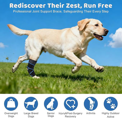 Dog Knee Brace for Back Leg Support, Hock Joint Compression Wrap ACL Brace for Hind Legs – Stabilizing Rear Leg Support for Senior & Overweight Dogs, Ideal for Medium & Large Breeds (M)