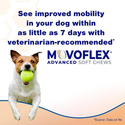MOVOFLEX Advanced Soft Chews Hip and Joint Support Supplement for Large Dogs - 120 Count by Virbac