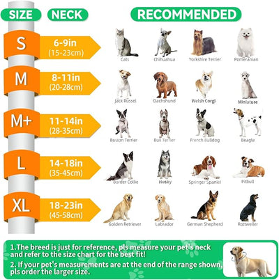 Upgraded Inflatable Dog Cone Collar with Transparent Anti-Licking Shield, Adjustable Elizabethan Collar for Medium Large Dogs, 2-in-1 Design with Detachable Shield and Soft Padding (L, Lime)