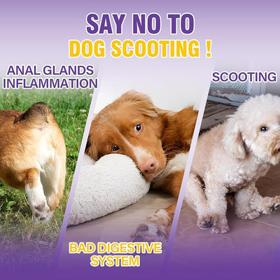 Dog Anal Gland Soft Chews 150 Stop Scoot for Dogs Supports Anal Gland Bowel Function Digestive Health Fiber Pumpkin Supplement for Dogs Pet Diarrhea Bowel Support Probiotics Digestive (Chicken Flavor)