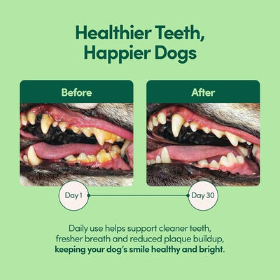Breath Buddy Dog Dental Powder for Teeth Cleaning – Cat & Dog Breath Freshener, Helps Remove Plaque & Tartar, Gentle Formula for Sensitive Stomachs, Natural Ingredients, USA Made