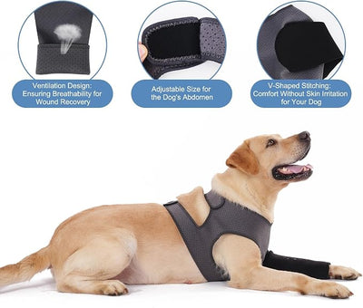 Dog Recovery Sleeve, Dog Recovery Suit, Abrasion Resistant Sleeve Front Leg, Washable 2.5mm Thick and Breathable, Pet Wounds Prevent Licking, Bite (Medium, Grey-Black)
