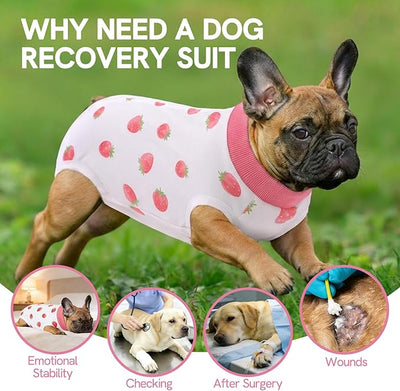 SAWMONG Recovery Suit for Dogs Female Male Zipper, Pink Strawberry Dog Onesie Body Suit After Surgery Spay Neuter, Cotton Breathable Dog Surgical Suit Pet, Substitute Dog E-Collar Cone, M