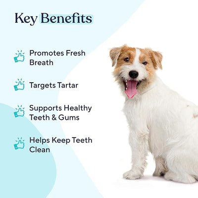 Pawfy Dog Breath Freshener with Specialized Dental Care Formula | Dog Teeth Cleaning & Mouthwash | Helps Freshen Dogs Breath with Easy Water Additive | Supports Plaque and Tartar Control