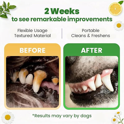 Dog Dental Care Wipes - 60Ct Tooth Brushing kit, Heavy Duty Teeth Cleaning for Dogs & Cats, Remove Tartar & Plaque, Dog Breath Freshener, Dog Toothbrush & Toothpaste Alternatives (Mint)