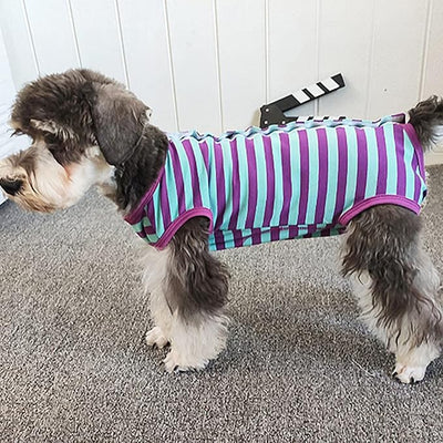 Dog’s Recovery Suit Post Surgery Shirt for Puppy, Wound Protective Clothes for Little Animals(Purple Blue Stripe-m)