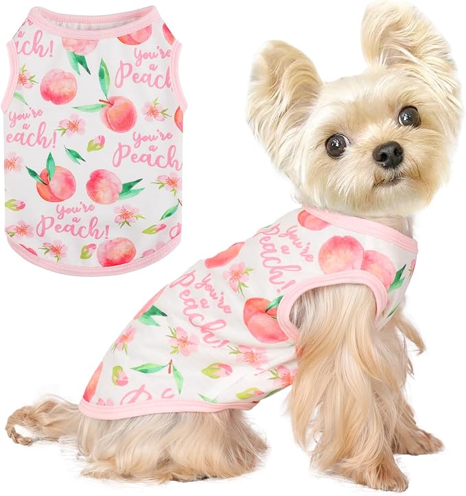 Dog Shirt Vest Dog Clothes for Small Dogs Boy Girl Stretchy Summer Puppy T-Shirts Soft Breathable Lightweight Puppy Sweatshirt Pet Cat Outfit (Peach, Medium)