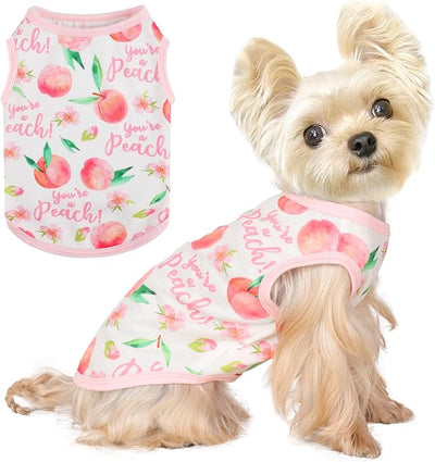 Dog Shirt Vest Dog Clothes for Small Dogs Boy Girl Stretchy Summer Puppy T-Shirts Soft Breathable Lightweight Puppy Sweatshirt Pet Cat Outfit (Peach, Medium)