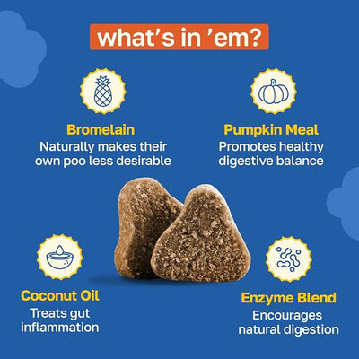 Happy Paws No Poo Chews for Dogs, Poop Eating Coprophagia Deterrent, Probiotics for Dogs with Pumpkin & Enzyme Blend for Digestive Health, Organic, Vegan, Non GMO, Beef Flavor, 100 Count