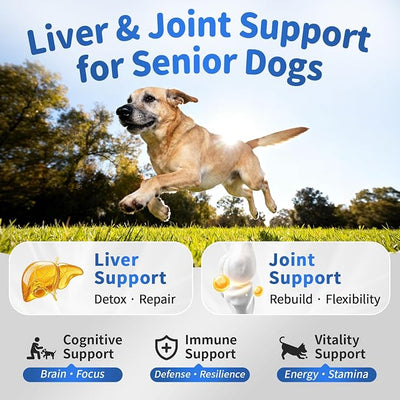 Senior Dog Liver & Joint Supplement – Same, Milk Thistle (Silybin), Glucosamine, MSM for Liver Health Detox, Mobility, Joint Pain Support, Cognitive & Vitality Support, Beef Flavor, 90Ct
