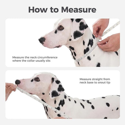Avont 2026 Upgraded Dog Recovery Collar, Breathable Mesh Elizabethan Collar – Soft Dog Cone Alternative After Surgery to Stop Licking, Foldable/Adjustable/Secure-Fit for Medium Large Dogs, Apple (M
