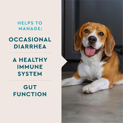 VetIQ Digestive Probiotic Powder for Dogs 30-Count Single-Serve Packets with Enterococcus Faecium Live Probiotics Chicken Liver Flavor Supports Gut Health and Diarrhea Relief