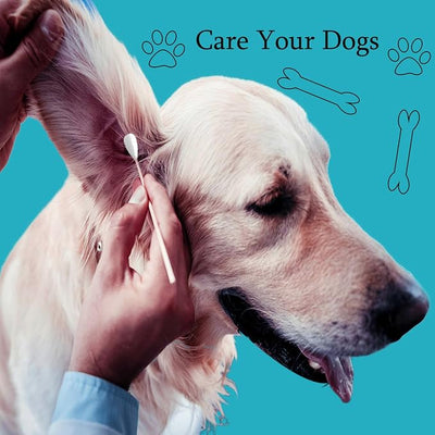 6 Inch Long Large Cotton Swabs,200pcs Large Cotton Buds with Bamboo Handle,Extra Large Tip Cotton Swabs ,Professional Big Cotton Swabs，Dogs Ears Large Cotton Swabs
