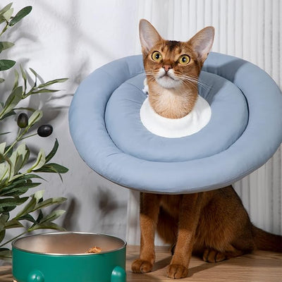 Gagabody Soft Dog Cone Alternative for Small Dogs, Cats & Medium Dogs - Comfortable, Adjustable Elizabethan Collar for Recovery