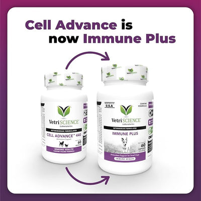 VetriScience Immunity Health Easy-Open Capsules, Immune Plus Supplement for Medium and Large Breed Dogs, Cell Advance Immune and Allergy Support with Antioxidants, Hypoallergenic Formula, 60 Count