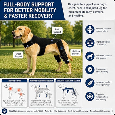 Dog Rear Knee Brace for Small & Medium Breeds, Adjustable Hind Leg Support for ACL/CCL Injury Recovery, Joint Stability, Ligament Protection & Injury Prevention (L)