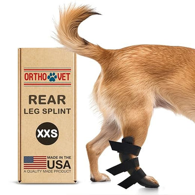 Standard Rear Splint for Dogs with Injuries, Arthritis, Fractures or Sprains, Durable & Lightweight Rear Splints for Rehability Treatment & Post-Surgery Protection for Pets - XXS