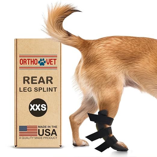 Standard Rear Splint for Dogs with Injuries, Arthritis, Fractures or Sprains, Durable & Lightweight Rear Splints for Rehability Treatment & Post-Surgery Protection for Pets - XXS