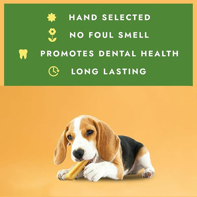 William Hunter Yak Cheese Himalayan Dog Chews - Long Lasting 100% Natural High Protein Dental Dog Chews for Aggressive Chewers (4 Medium Sticks)