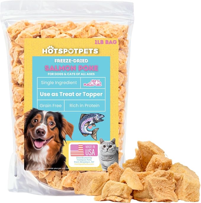 Freeze Dried Salmon Treats for Cats & Dogs - Made in USA - 1LB Resealable Big Bag - Single Ingredient, High Protein, All Natural Grain-Free - Perfect for Training, Topper or Snack